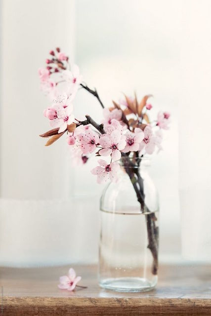 Summer Interior Styling