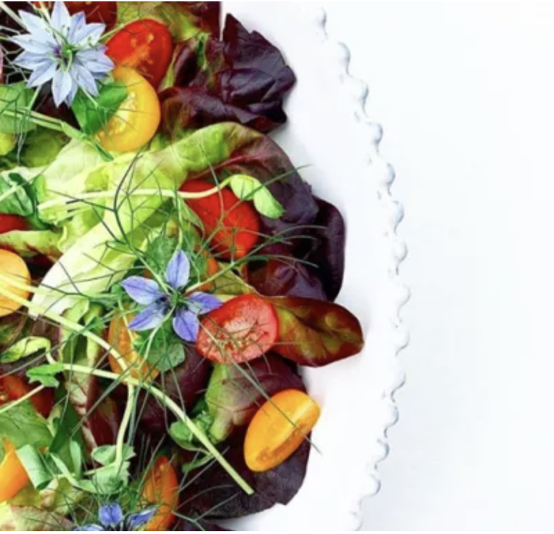 Al fresco dining. Food beautifully presented on a plate.