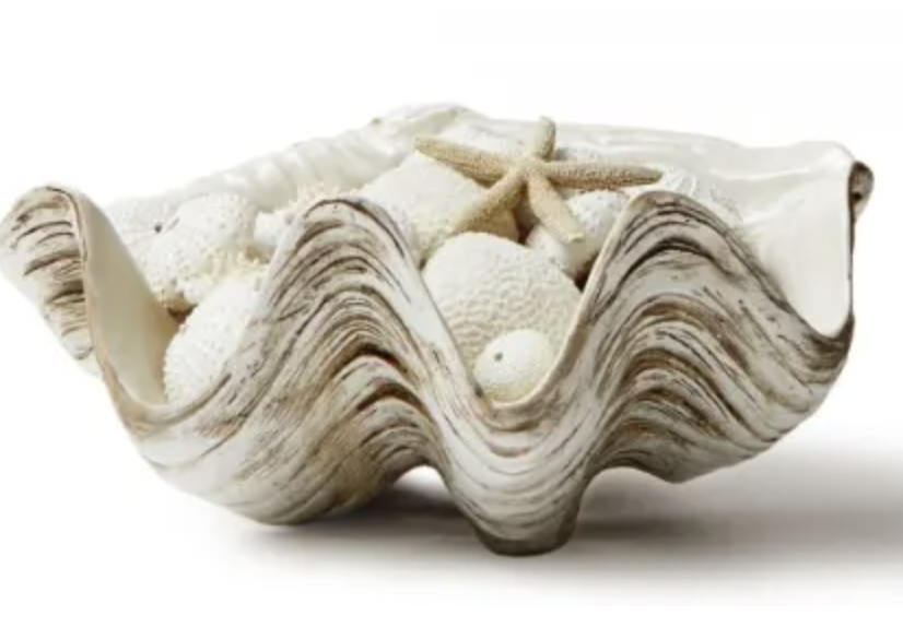 Ocean corals and giant clam interior styling